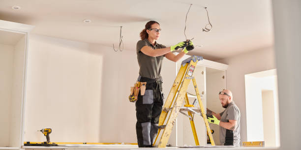 Best Electric Panel Repair  in Clara City, MN