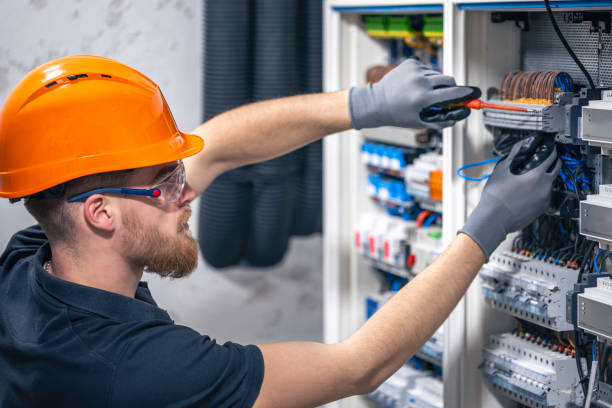 Best Electrical System Inspection  in Clara City, MN