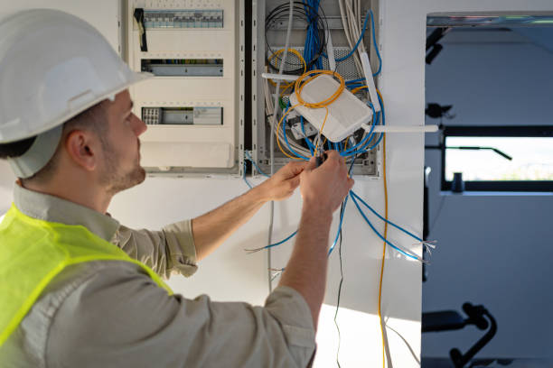 Best Local Electrician Companies  in Clara City, MN